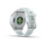 Смарт-часы GARMIN FORERUNNER 570 (42 мм) голубой алюминий/белый 010-02970-01